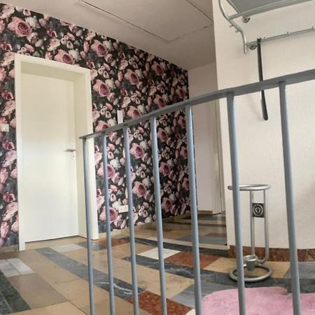 Erica Ferienwohnung Auf Dem Traumpfad Ettringen  Екстериор снимка